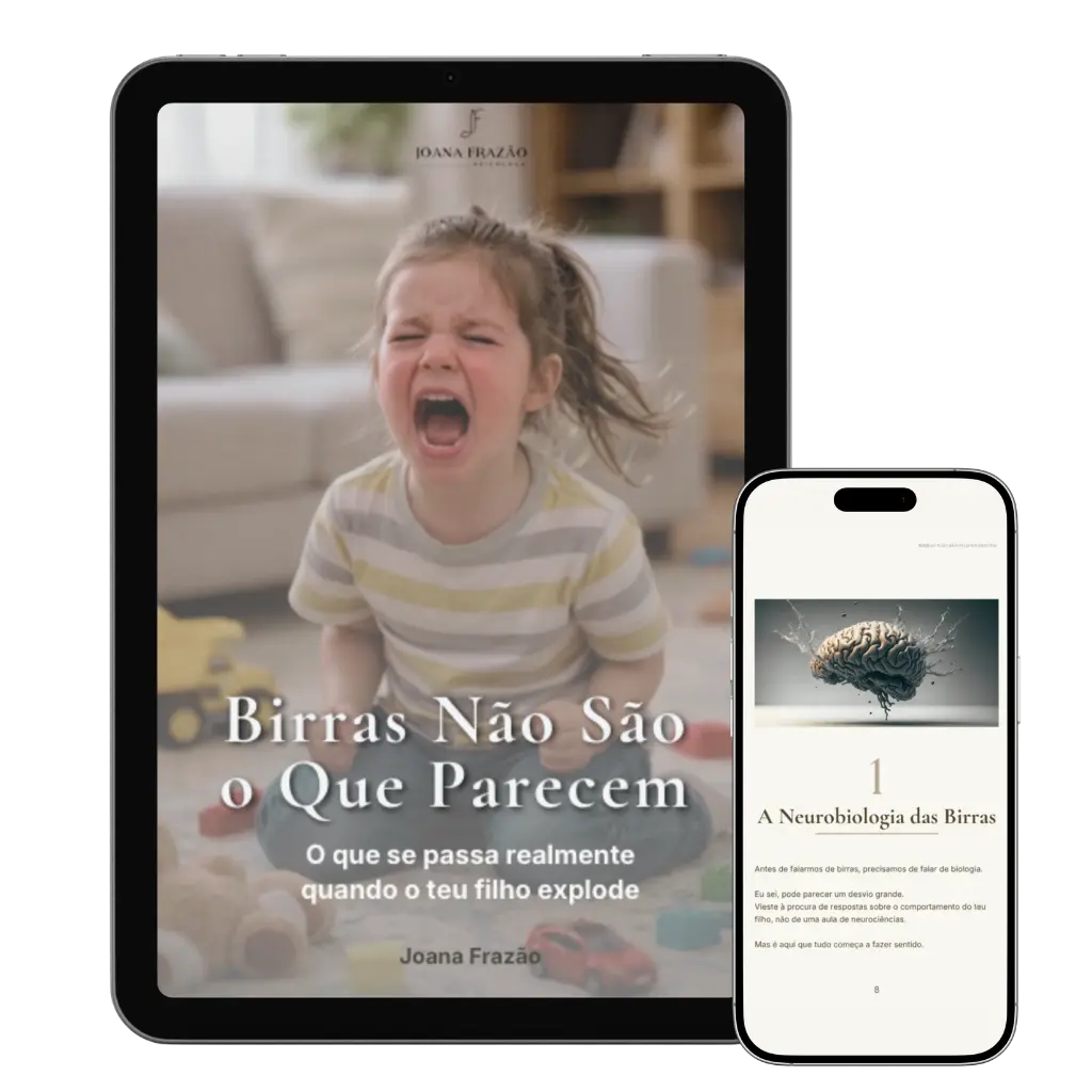 Mockup do ebook birras não são o que parecem