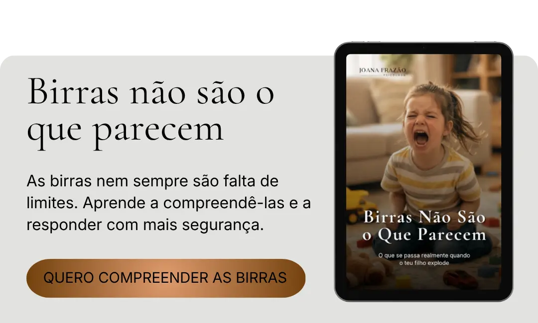 Mockup do ebook birras não são o que parecem